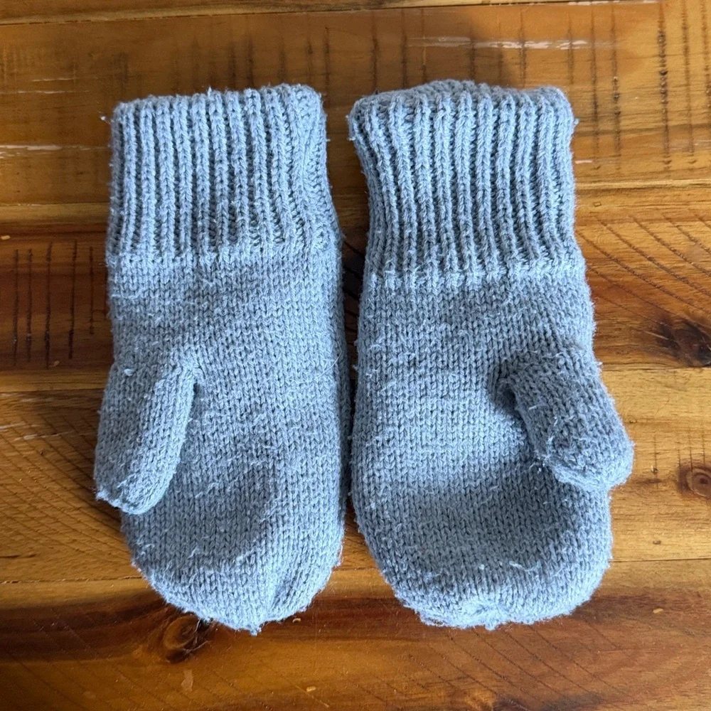 Target Toddler Blue Dinosaur Kids Mittens